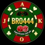BRO444 Game