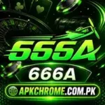 666a Game